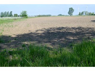 Property photo 10 - LAND AUCTION - 215+/- ACRES OFFERED IN 6 TRACTS IN VAN WERT COUNTY, OHIO